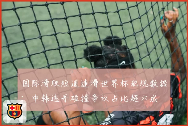 国际滑联短道速滑世界杯犯规数据：中韩选手碰撞争议占比超六成