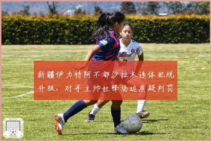 新疆伊力特阿不都沙拉木违体犯规升级,对手主帅杜锋场边质疑判罚标准